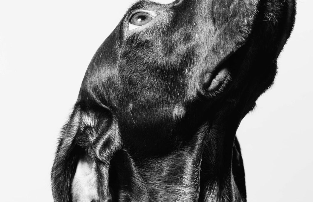 photo-1551730459-81d1f86e792f