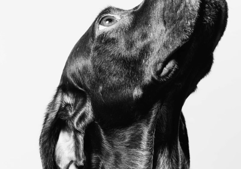 photo-1551730459-81d1f86e792f