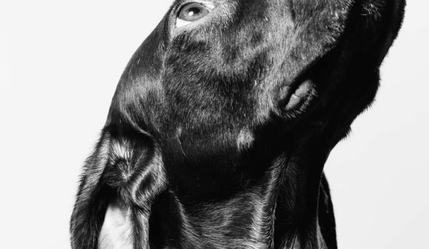 photo-1551730459-81d1f86e792f