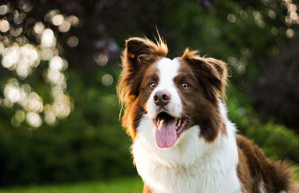 photo-1568393691080-d016376b767d