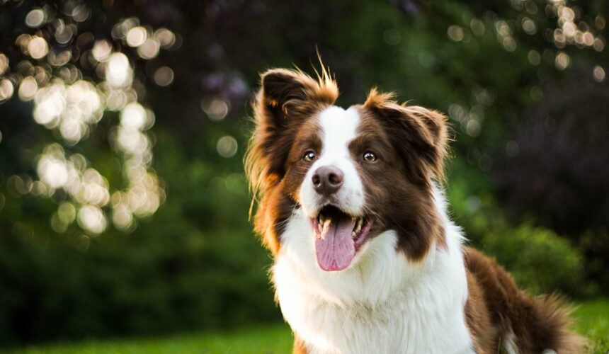 photo-1568393691080-d016376b767d