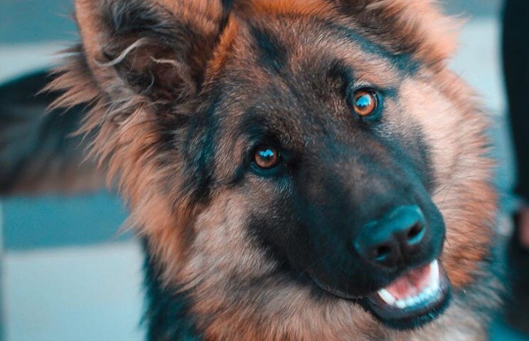 photo-1589941013453-ec89f33b5e95