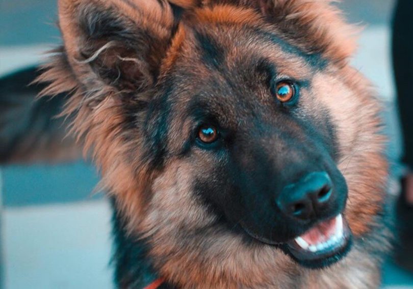 photo-1589941013453-ec89f33b5e95