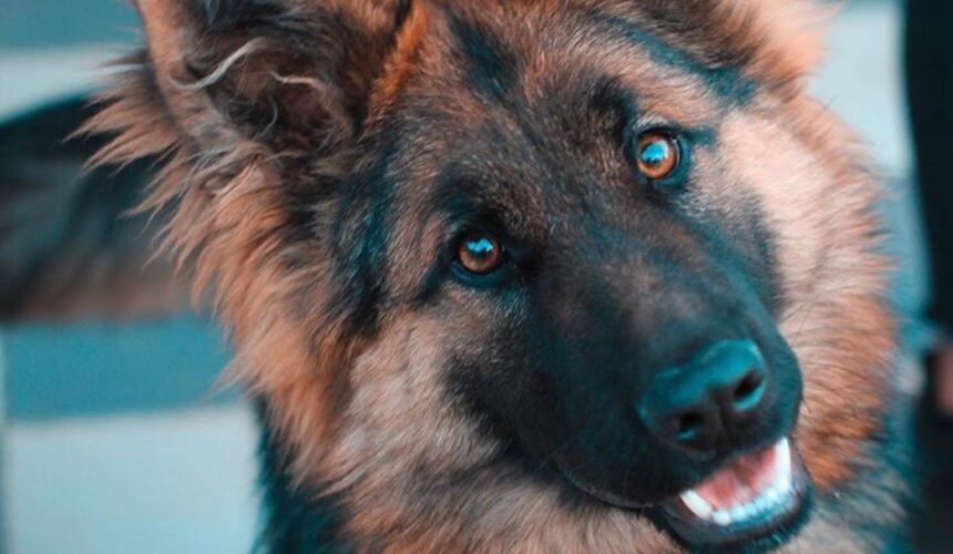 photo-1589941013453-ec89f33b5e95