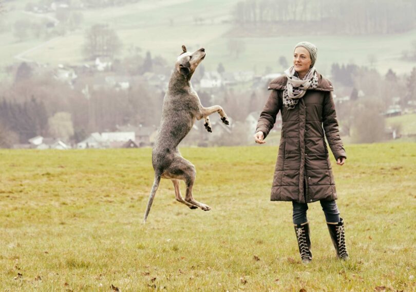 Canine Data Servers & Owners