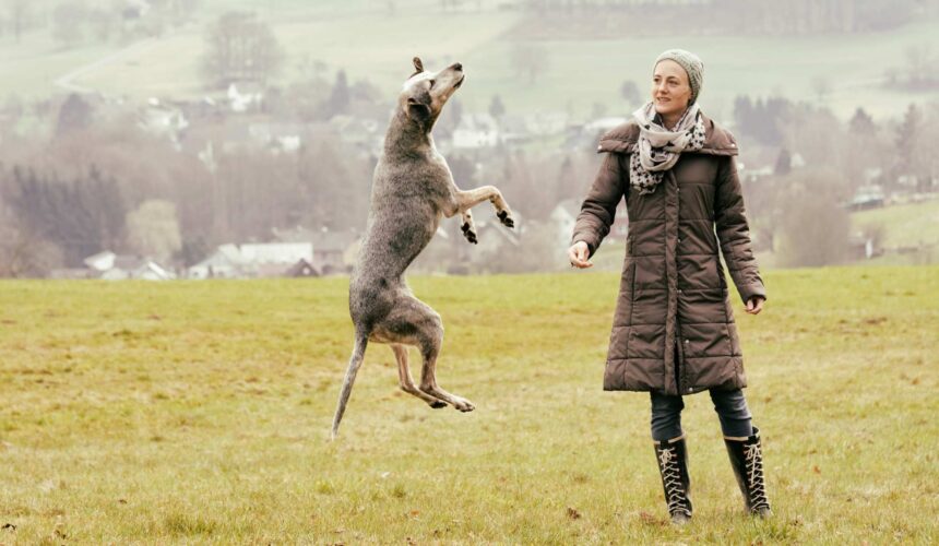 Canine Data Servers & Owners