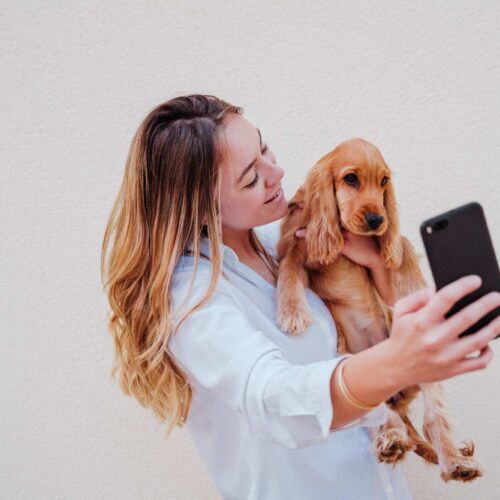 The Future AI Canine World