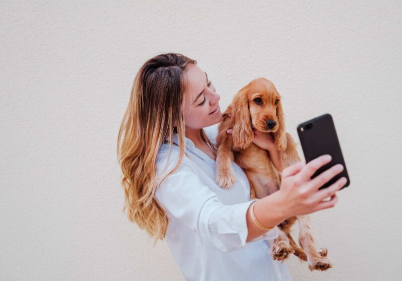 The Future AI Canine World